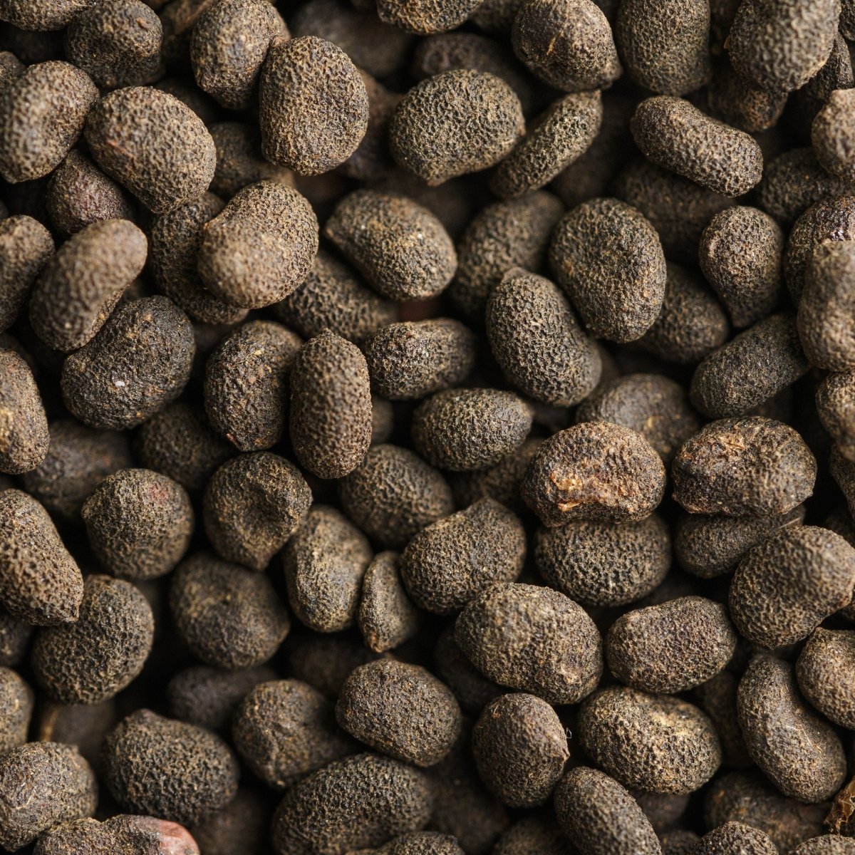 Ingredient Spotlight - Bakuchiol