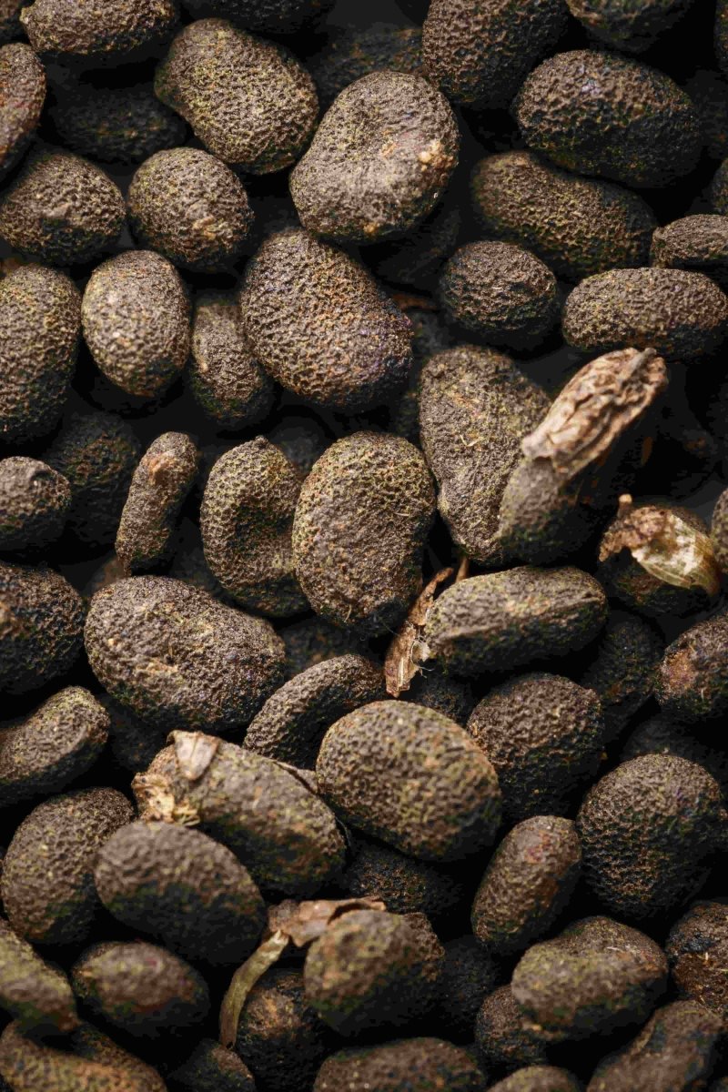 Ingredient Spotlight - Bakuchiol - Eco By Sonya Australia