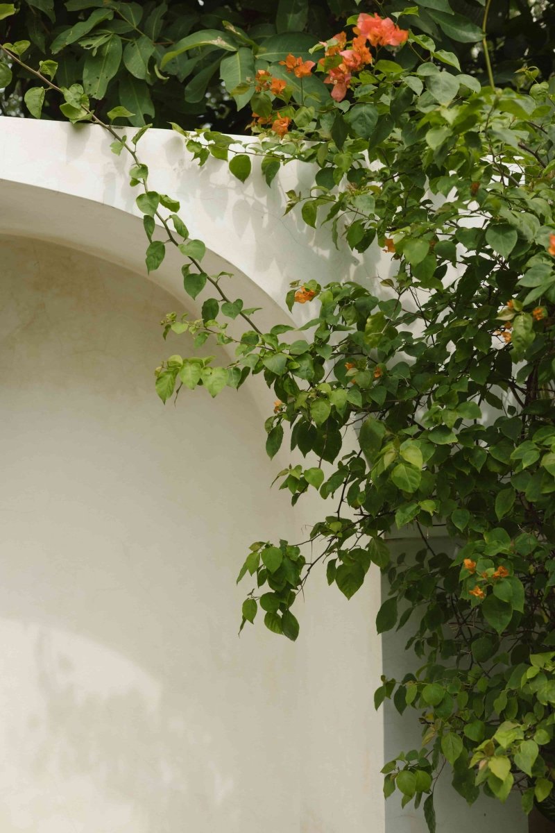 Greenfleet Partnership - Eco By Sonya Australia