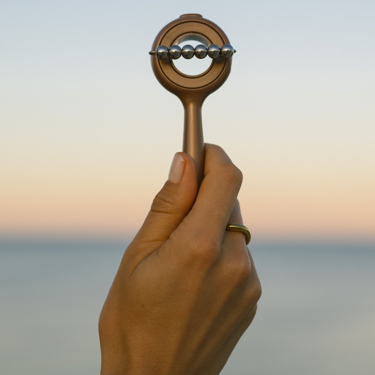 Hand holding Eco By Sonya Face Workout against a sunset sky