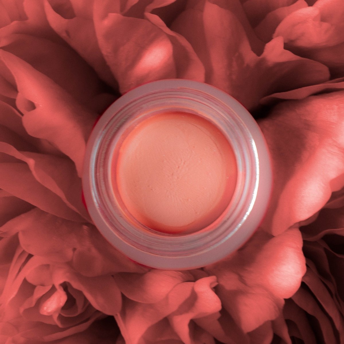 Cream Blush - Eco Tan Australia